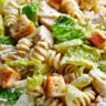 Delicious Chicken Caesar Pasta Salad with grilled chicken, romaine, and Caesar dressing